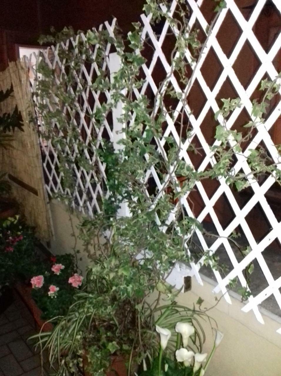 La Terrazza Di Dante Bed & Breakfast Napoli Eksteriør bilde